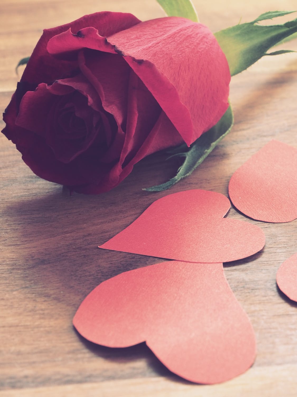 rose