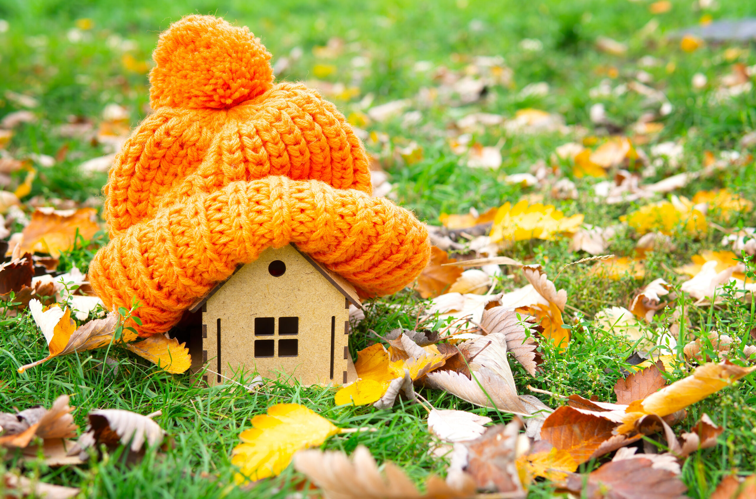 Fall Energy Efficiency Check List
